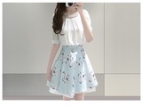 韩国SZ QQ新款女装夏显瘦韩版两件套装裙子短袖雪纺连衣裙女欧美