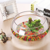 厂家特价批发透明生态创意玻璃圆形金鱼乌龟土培植物缸花瓶花盆