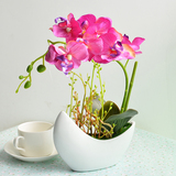 高仿真花蝴蝶兰套装 办公餐桌客厅摆件 植物花卉绿色花艺假花盆栽