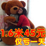 公仔大号抱抱熊抱枕泰迪熊布娃娃生日礼物送女生朋友毛绒玩具熊