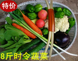 北京密云新鲜蔬菜套餐同城有机生鲜现摘配送时令蔬果农家自种8斤