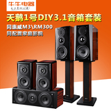 Hivi/惠威 天鹅1号DIY3.1同惠威M3和RM300同配置家庭影院音箱套装