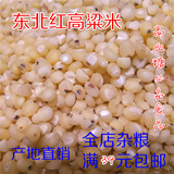 东北农家有机新高粱米红粗粮五谷优质杂粮非转基因自产包邮500克