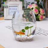 双十一鹅蛋鱼缸水培植物玻璃花瓶 透明宜家风格小器皿 插花花瓶