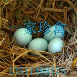 绿壳鸡种蛋 五黑一绿 绿壳蛋鸡种蛋  绿壳蛋鸡受精蛋孵化用蛋