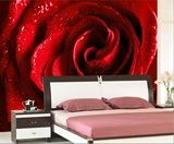 大型壁画客厅卧室电视背景墙墙纸壁画大红色浪漫水珠玫瑰壁纸墙画
