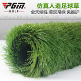 PGM专业足球幼儿园草坪室外地毯塑料室内垫子5CM仿真阳台人造草地