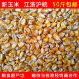 2015年农家干玉米粒 玉米籽粗粮批发 鸽子鸡鸭鸟宠物饲料50斤包邮