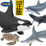 正版PAPO海洋生物系列动物恐龙仿真模型儿童玩具 大号鲨鱼鲸海豚