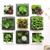 立体仿真绿色植物家居壁饰 办公室客厅创意壁挂墙饰挂件墙面装饰