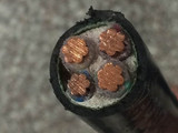 正品杭州中策牌电力电缆纯铜芯YJV/VV3*25+1*16平方三相四芯线