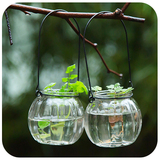 水培花瓶玻璃瓶南瓜插花小吊瓶(送铁环)绿植物吊瓶花盆