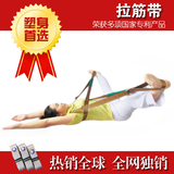 自动拉筋带 拉三经专用加强型瑜伽瘦身伸展带韧带绳拉筋凳劈叉器