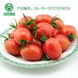 寿光绿色新鲜有机蔬菜水果千禧小番茄西红柿圣女果洋柿子 500g