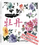 中国画牡丹基础教程写意毛笔水墨画设色技法入门图书花卉临摹教材