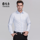 Youngor/雅戈尔新款专柜正品免烫长袖男士工装蓝色衬衫