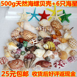 500g+6只海星海螺贝壳装饰套餐包邮地台橱窗道具儿童玩具创意礼品