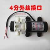 新款4分接口水泵高压隔膜泵微型12v小水泵小型抽水机自吸泵抽水泵