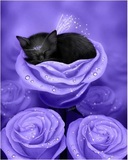 十字绣电子图纸 hae Lilac Daydreams紫玫瑰中的猫天使