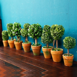迷你创意植物假花盆景摆设可爱桌面茶几小摆件家居装饰品仿真盆栽