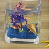 面鱼缸 送礼物包邮方形玻璃鱼缸超白加厚迷你创意小鱼缸 办公室桌
