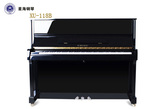 全新星海XU-118国产黑色立式钢琴家用练习专业教学 包邮特价