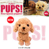 现货包邮pups日本代购正品泰迪犬公仔仿真玩偶毛绒玩具狗 附礼袋