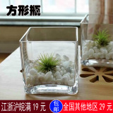 家居水培植物花卉种植容器 方形玻璃瓶 玻璃缸 方缸风信子 榕树用