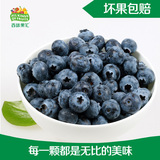 百味果汇进口有机智利蓝莓特级1盒新鲜水果非野生净重125g每盒