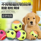 宠物玩具球 抗抑郁狗狗网球 泰迪比熊雪纳瑞贵宾小狗训练球狗玩具