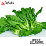 【西安蔬菜网】新鲜生鲜蔬菜 小青菜500克净菜叶菜小油菜