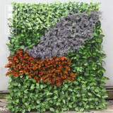 仿真植物墙绿化墙地毯草皮假叶子米兰阳台绿植装饰绿色植物背景墙