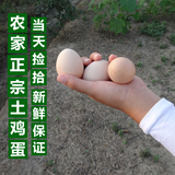 【破损包赔】30枚装苏北农家散养草鸡蛋土鸡蛋新鲜笨鸡蛋儿童孕妇