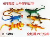 批发包邮奥斯尼蜥蜴组合动物模型 6只蜥蜴鳄鱼儿童认知动物玩具