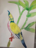 水彩代画白描花鸟动植物人物工笔画水彩水粉人物风景速写素描定制