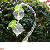 新款 圆形悬挂式玻璃透明DIY可串接花瓶创意水培花器家居摆件田园