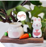 诺拉和皮埃诺萝卜兔陶瓷工艺迷你家居摆件装饰动物花盆陶瓷花插杂