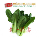 老一特卖 青菜 有机新鲜 蔬菜 小青菜 大王菜4.9元500克