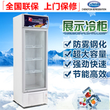 冰柜商用饮料柜单门冷藏柜立式冷柜保鲜柜玻璃门冰箱展示柜LG-198