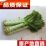 东北青菜莴笋菜笋莴巨笋健康有机种植绿色新鲜蔬菜3斤包邮