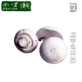 【七八里菜园】新鲜口蘑 野生蘑菇 250g 新鲜蔬菜满额顺丰包邮
