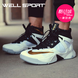well运动 Nike Ambassador 詹姆斯 使节8 白金 篮球鞋 818678-170