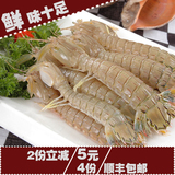 野生鲜活皮皮虾虾虎虾爬子琵琶虾虾蛄特产海鲜2斤包邮   一份250g