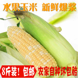 新鲜玉米棒广西特产8斤农家非糯爆浆超甜可生吃蔬菜批发水果玉米