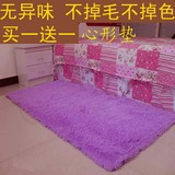 客厅卧室床边地毯可水洗防滑定制满铺现代简约家用房间门厅地垫