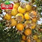 野果蜜饯贵州特产野生刺梨干果深山食品果脯蜜饯零食美食小吃278g