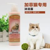 GVTY香波宠物沐浴露加菲猫成猫幼猫沐浴乳猫咪专用沐浴液洗澡用品