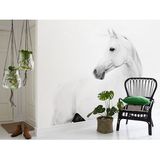 艺速 现代简约白色无纺布墙纸大型动物壁画客厅背景墙壁纸白马