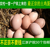 正宗苏北农家散养 新鲜 土鸡蛋 草鸡蛋 柴鸡蛋自养笨鸡蛋散装包邮