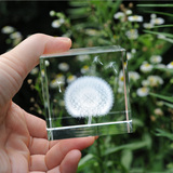zoyu蒲公英标本 非日本sola宙 植物立方体 创意水晶内雕 生日礼物